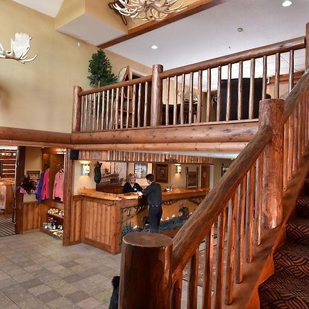 Stoney Creek Inn 퀸시 외부 사진